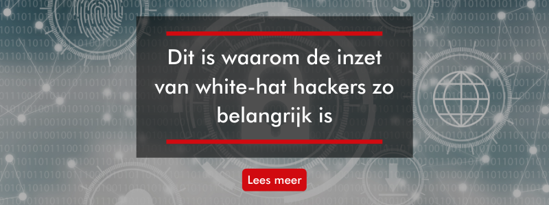 White hat hackers